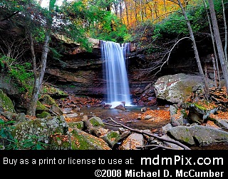 Cucumber Falls (Waterfalls)